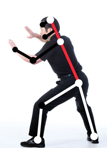 The head-pelvis axis (HPA) runs through the center of the body (the red bar). The HPA is supported and controlled by the lower limbs (the white bars). Jointly, they augment the force of the arms and head (the black bars).