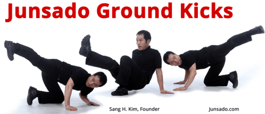 Junsado Ground Kicks